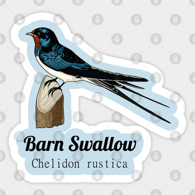 Barn Swallow Sticker by Frajtgorski